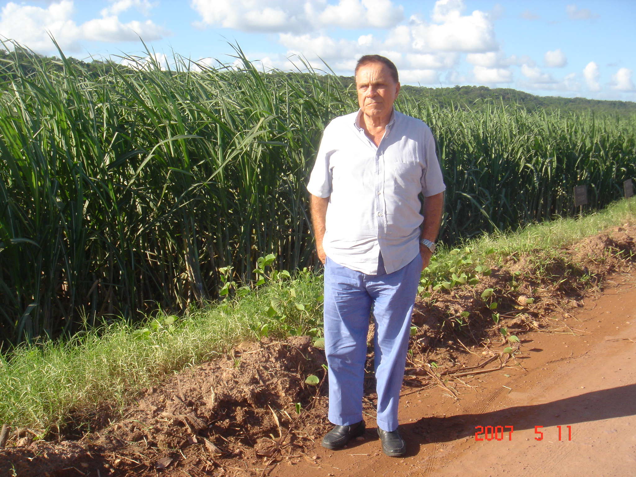 JOSÉ IVANILDO CAVALCANTI  DE MORAIS